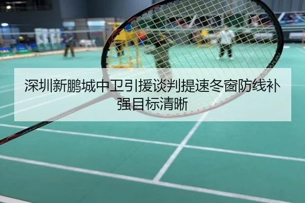 深圳新鹏城中卫引援谈判提速冬窗防线补强目标清晰